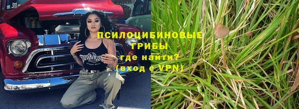 ПСИЛОЦИБИНОВЫЕ ГРИБЫ Алексин